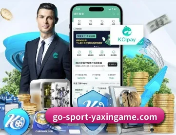 亚新 APP 深度功能